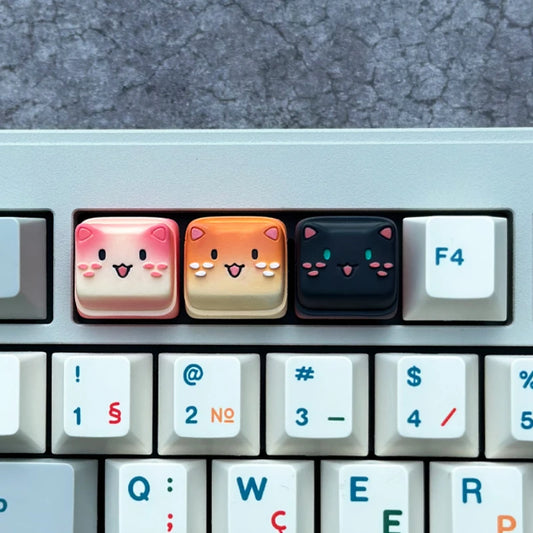 S14298a29eb2d4e2e98577d0e1553f74eD